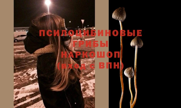 прущий лед Билибино