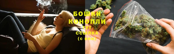 мяу мяу кристалл Бикин