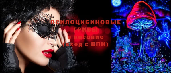мескалин Инта