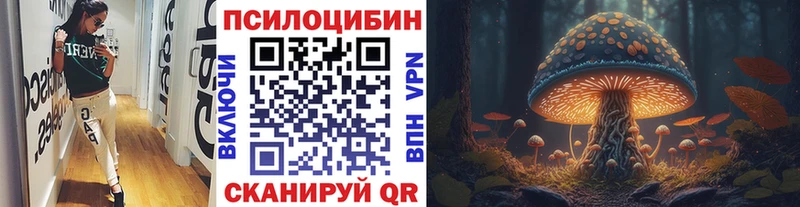Псилоцибиновые грибы прущие грибы  купить наркотики цена  Кимовск 